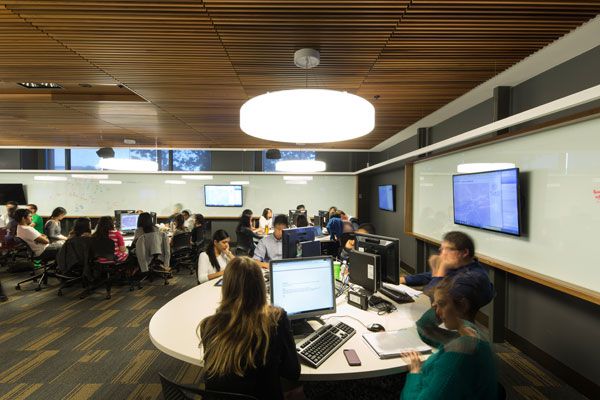 Screenwood addresses form and function