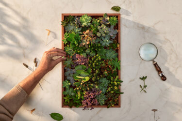 Nature & Nurture: The Caesarstone Edit