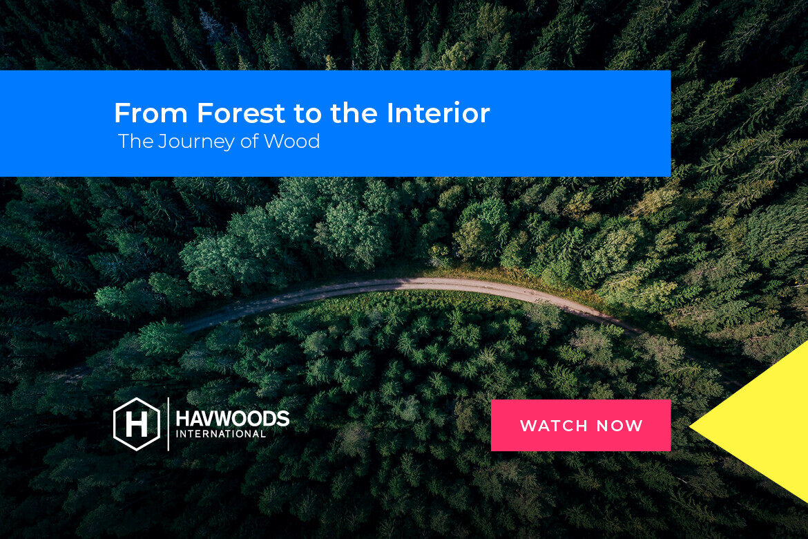 From forest to the interior: The journey of wood