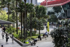 Parramatta, Barangaroo and Surry Hills projects lead NSW’s best landscapes