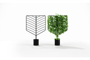 Botanical Planter Screen