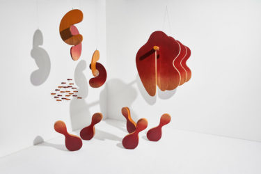 Look at the emerging design talent AHEC has Discovered