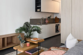 Boronia Apartments delivers affordable housing in Waterloo by TURNER